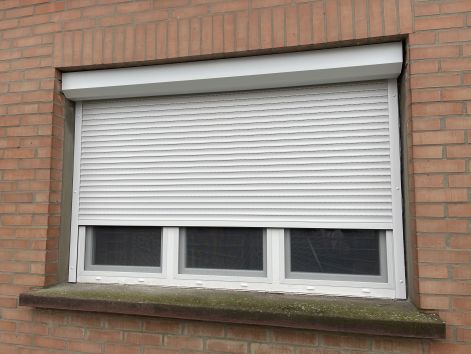 img_6688.jpeg img_6688.jpeg