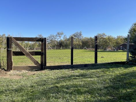 img_8823.jpeg img_8823.jpeg